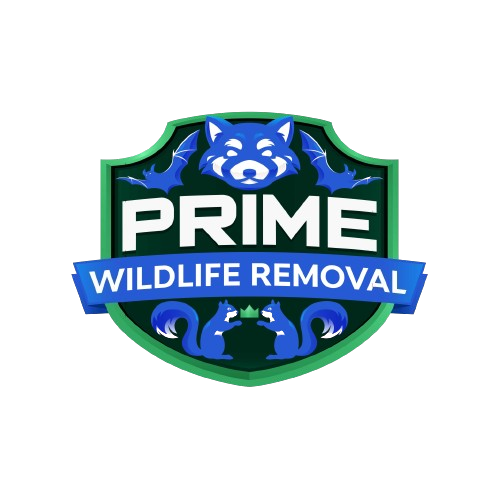 Wildlife Removal De Kalb County